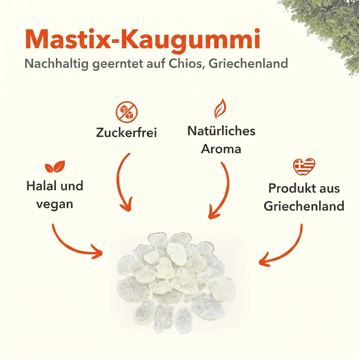 Apollo Mastix-Kaugummi® 40g