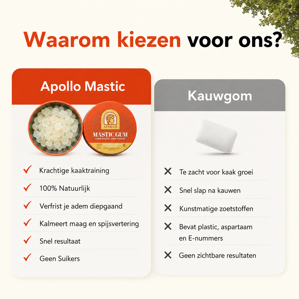Apollo Mastix-Kaugummi® 25g