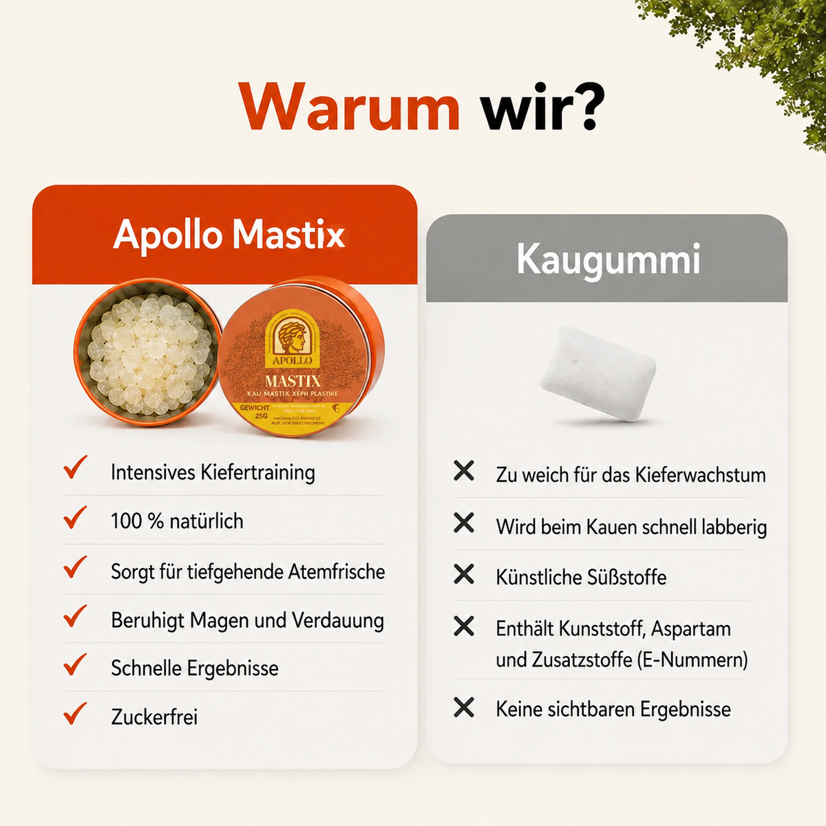 Apollo Mastix-Kaugummi® 25g