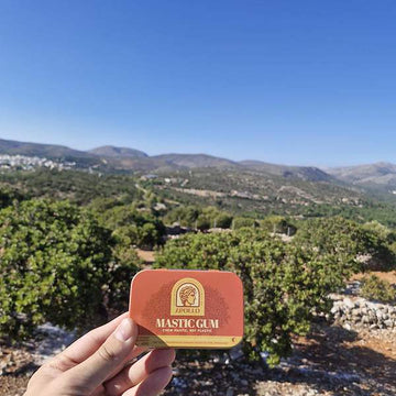 Foto van Mastic Gum bakje met op de achtergrond mastiek boomgaard op Chios Griekenland. 